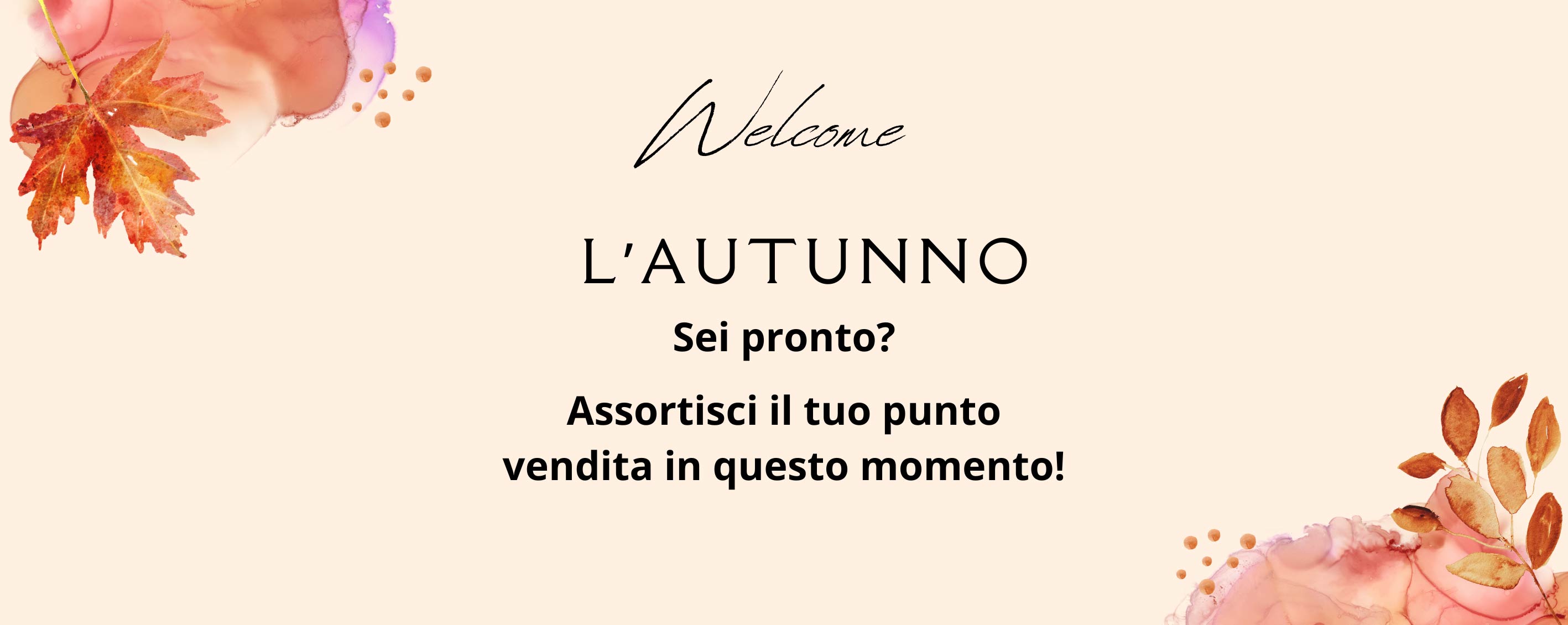 ingrosso abbigliamento bambino