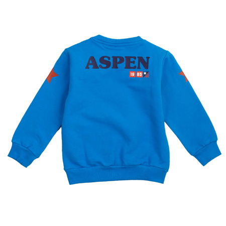 aspen polo club - Felpe