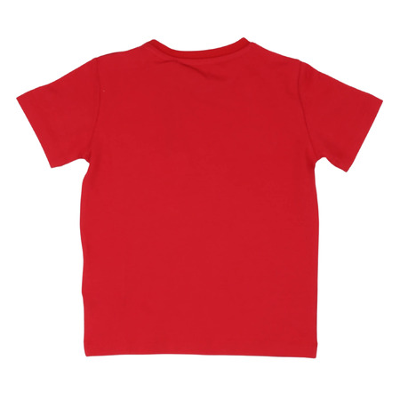 iceberg - Camisetas
