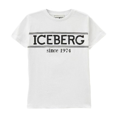 iceberg - Camisetas