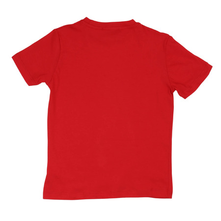 iceberg - Camisetas