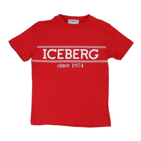 iceberg - Camisetas