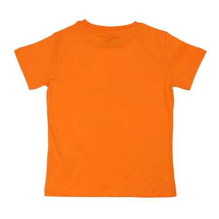 iceberg - Camisetas