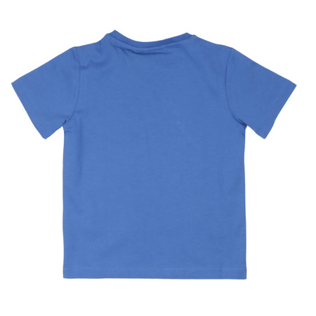 paciotti - Camisetas