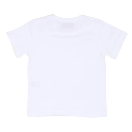 paciotti - Camisetas