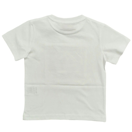 paciotti - Camisetas