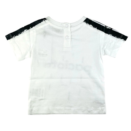 paciotti - Camisetas