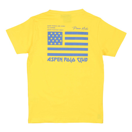 aspen polo club - T-Shirts