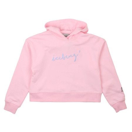 iceberg - Sudaderas