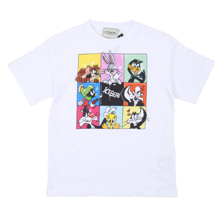 iceberg - Camisetas
