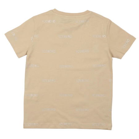 iceberg - T-Shirts