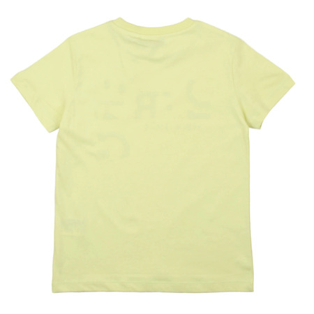 iceberg - T-Shirts