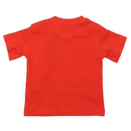 paciotti - T-Shirt