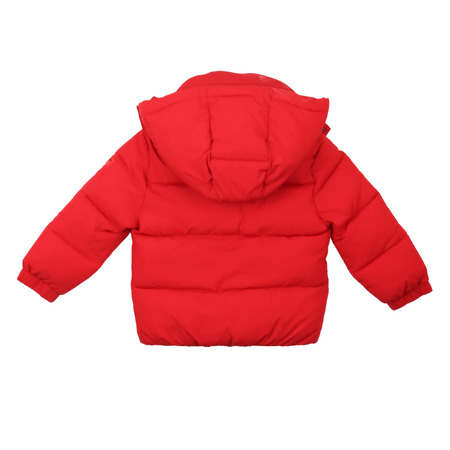 paciotti - Jackets