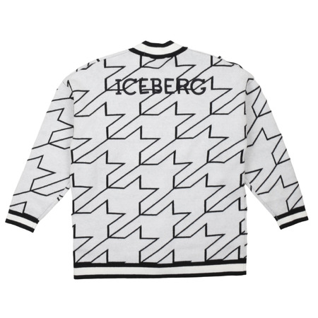 iceberg - Cardigan