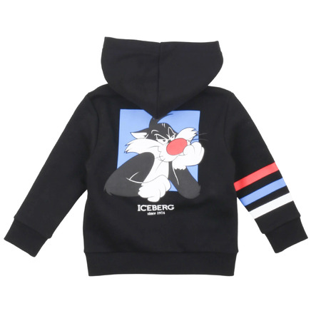 iceberg - Tröjor