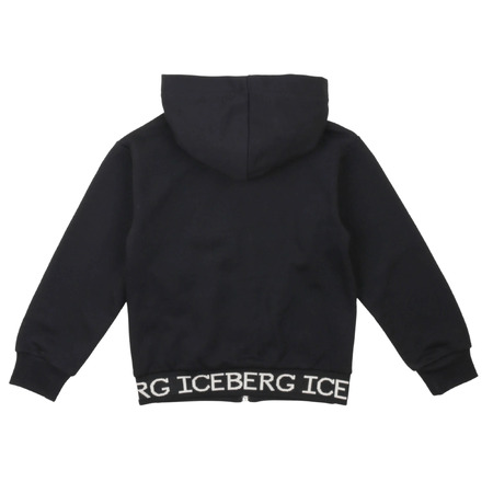 iceberg - Tröjor