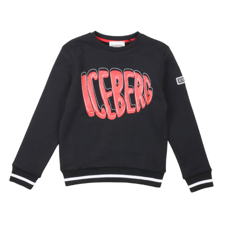 iceberg - Tröjor