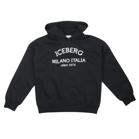 iceberg - Tröjor