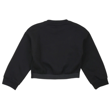 iceberg - Sweatshirts
