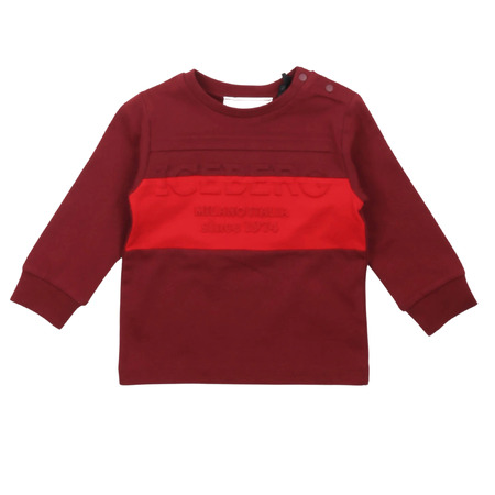 iceberg - T-Shirts
