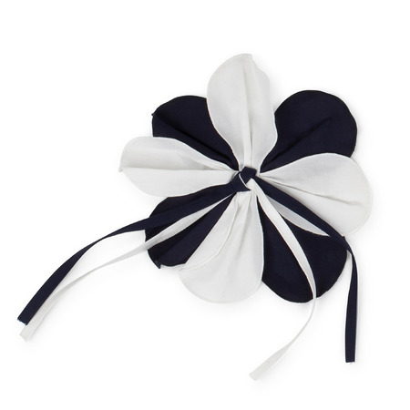 PICCOLA LUDO - Altri Accessori