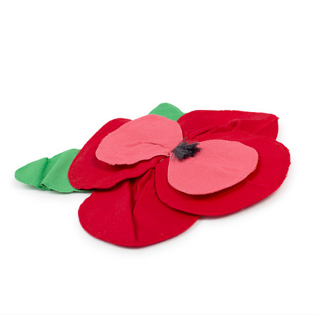 PICCOLA LUDO - Altri Accessori