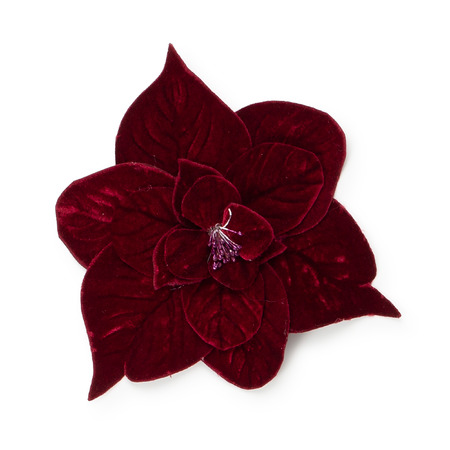 PICCOLA LUDO - Altri Accessori