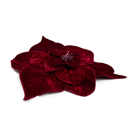 PICCOLA LUDO - Altri Accessori