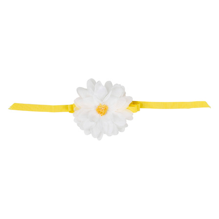 PICCOLA LUDO® - Cinture